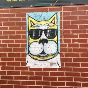 Meet your Posher, Vickie